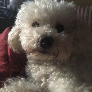 Meet your Posher, Vanessa